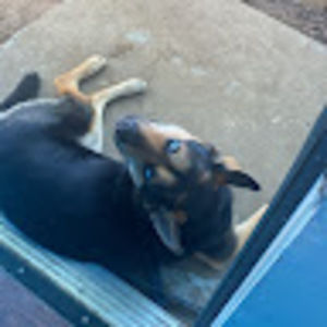 Meet your Posher, Cristal